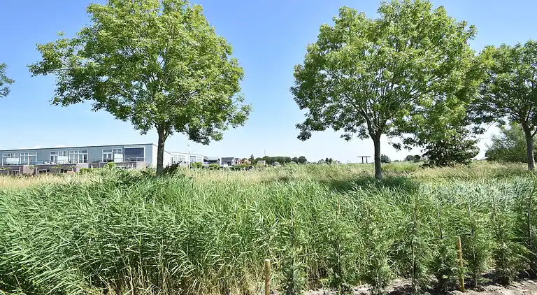 Sommerhus i Oude-Tonge