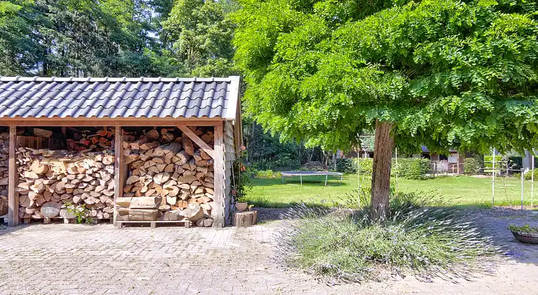 Vakantiehuis in Wesepe