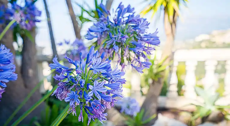 Sommerhus i Puerto Campomanes-Grenwich