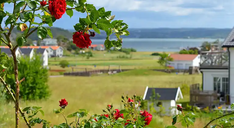 Holiday home in Tjörn S