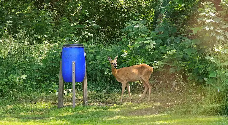 Holiday home in Strøby