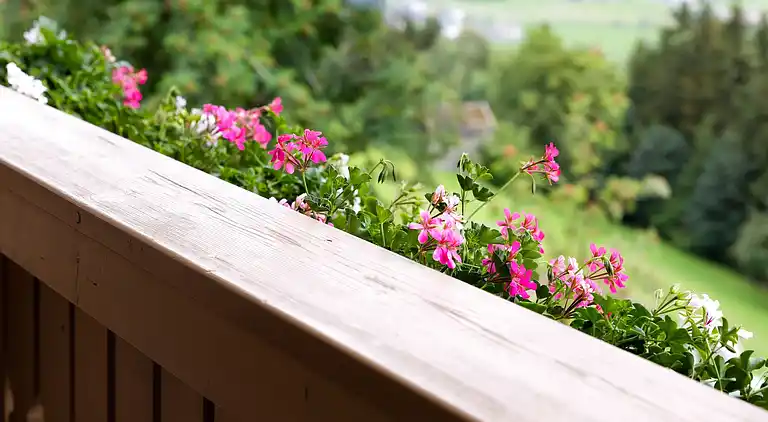 Apartment in Mittersill