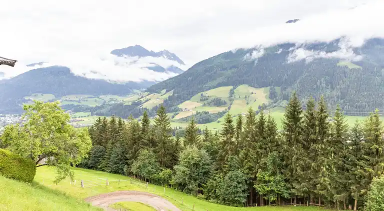 Sommerhus i Mittersill