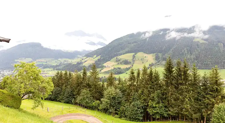 Apartment in Mittersill