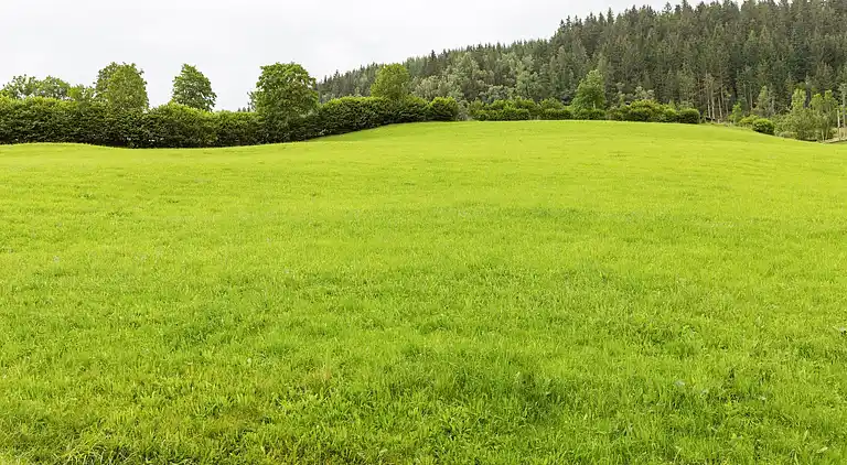 Sommerhus i Mittersill