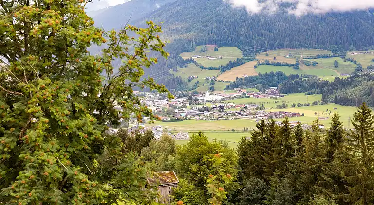 Apartment in Mittersill