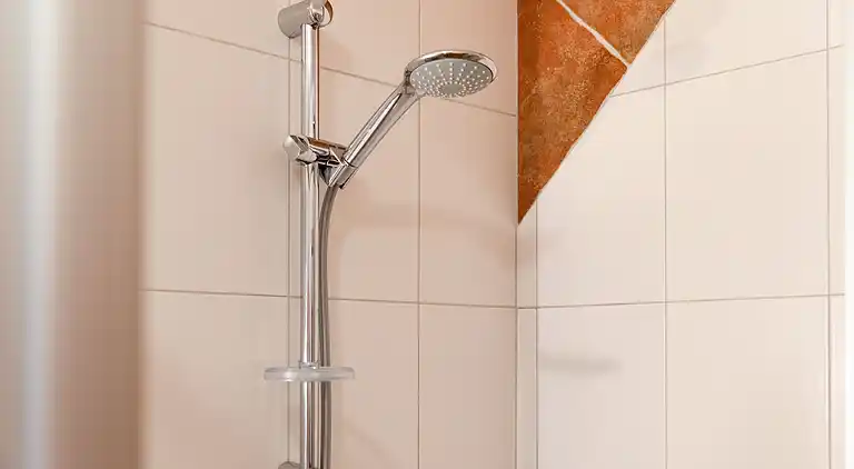 Apartment in Mittersill