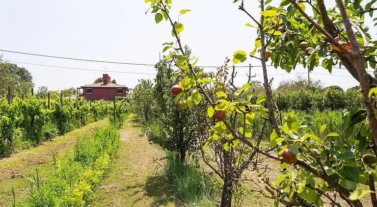 Stuga i Lio Maggiore