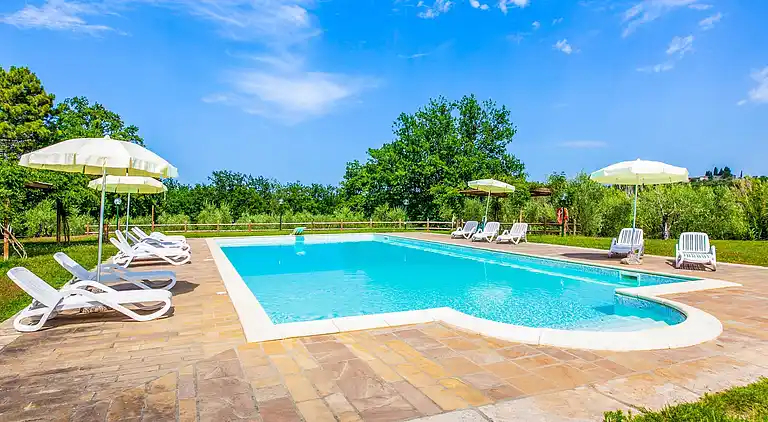 Farm house in Terricciola