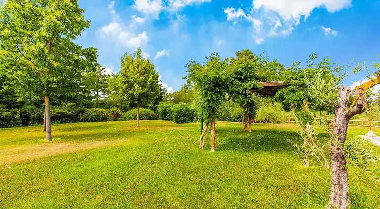 Farm house in Terricciola