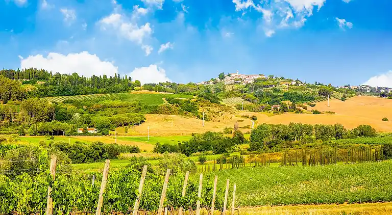 Farm house in Terricciola