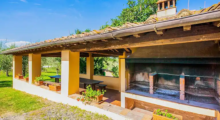 Farm house in Terricciola