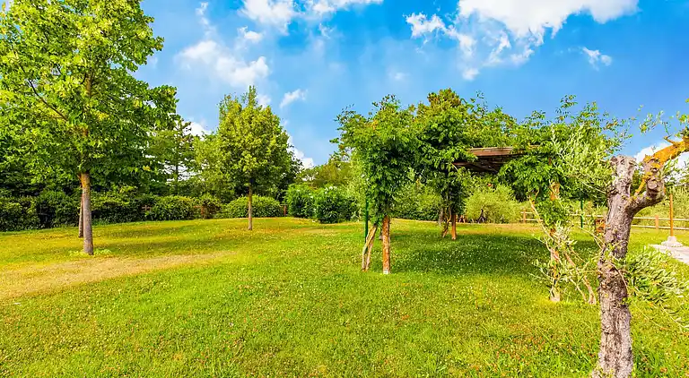 Farm house in Terricciola