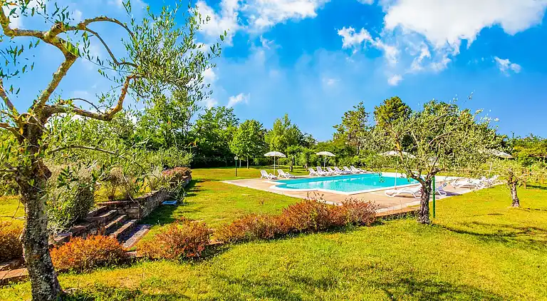 Farm house in Terricciola