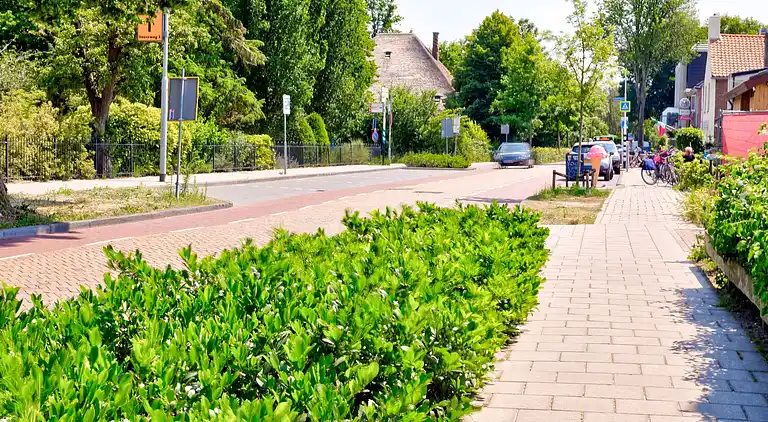 Apartment in Schoorl