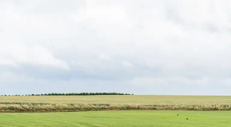 Farm house in Bemelen