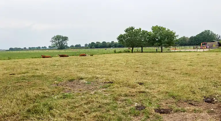 Holiday home in Horssen