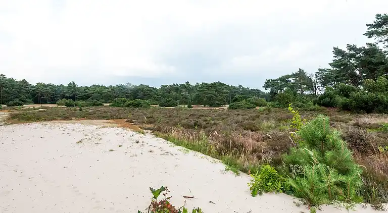 Semesterbostad i Beerze