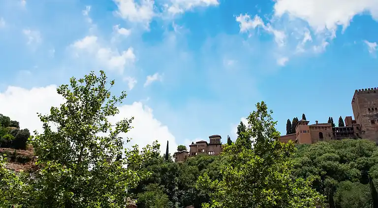 Apartment in San Pedro