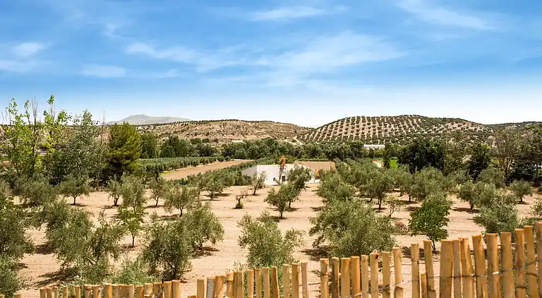 Cottage in Venta Nueva