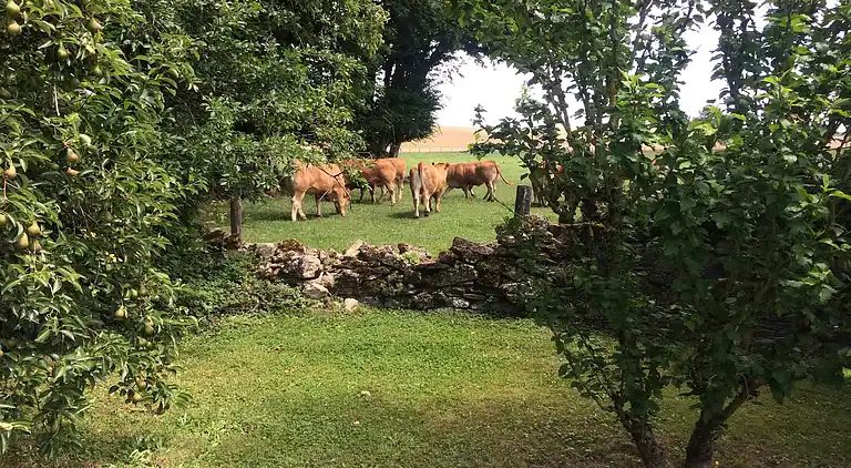 Holiday home in Fretigney-et-Velloreille