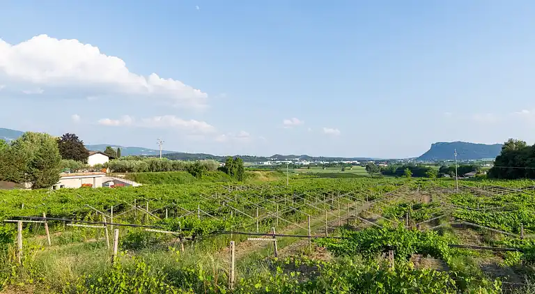 Manor house in Pesina Spezie