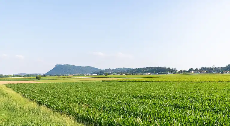 Manor house in Pesina Spezie
