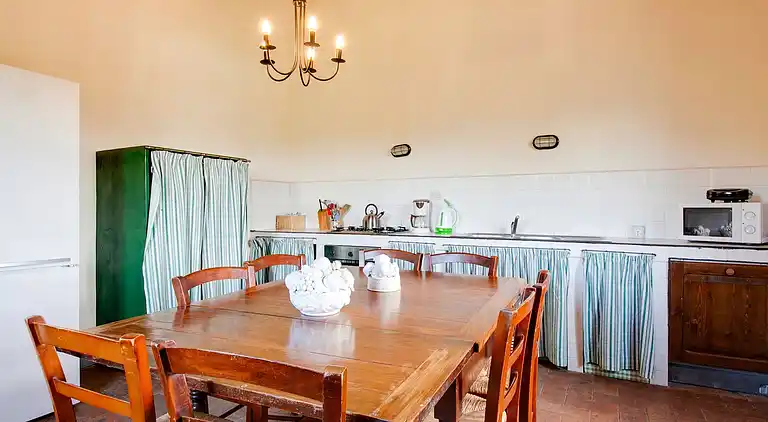 Farm house in Terricciola