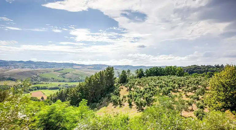 Farm house in Terricciola