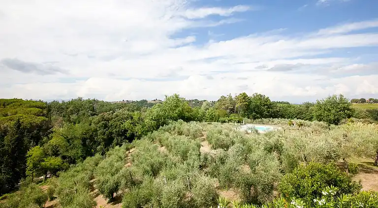 Farm house in Terricciola