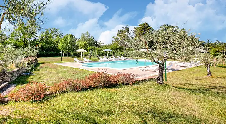 Farm house in Terricciola