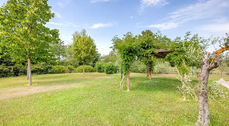 Farm house in Terricciola