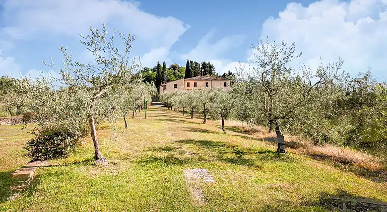 Farm house in Terricciola
