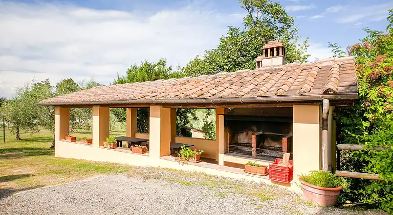 Farm house in Terricciola