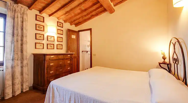 Farm house in Terricciola