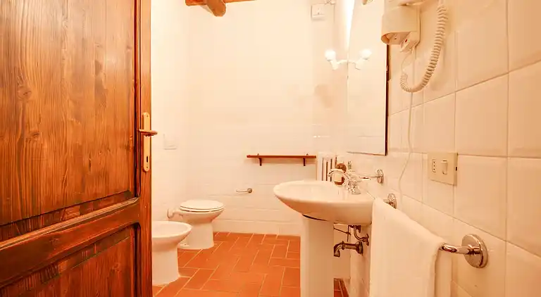 Farm house in Terricciola