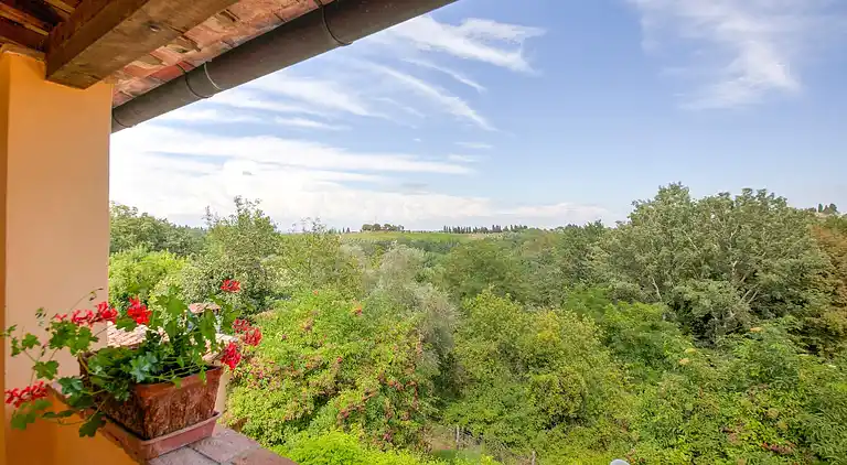 Farm house in Terricciola