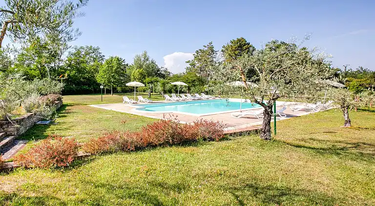 Farm house in Terricciola