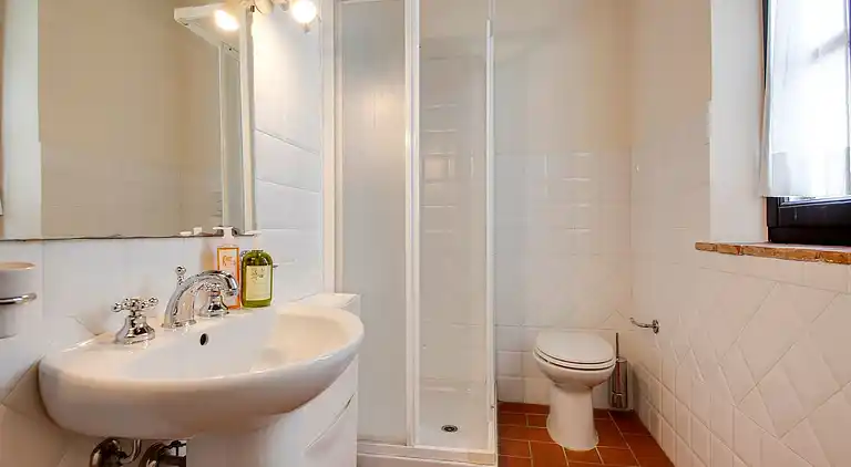 Farm house in Terricciola