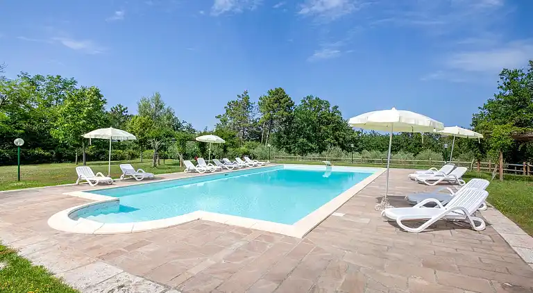 Farm house in Terricciola