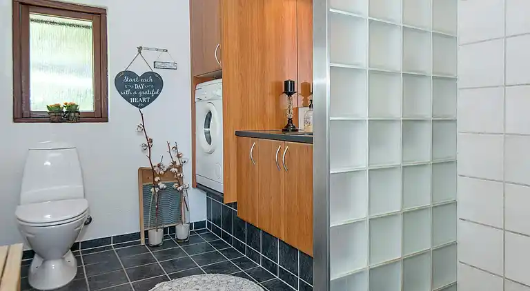 Sommerhus ved Skaven Strand