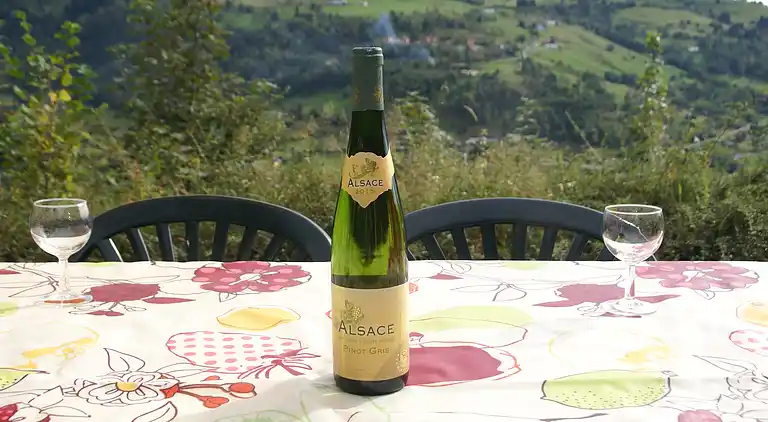 Cottage in La Bresse