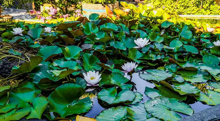 Sommerhus i Δημοτική Κοινότητα Παλαιοχώρας