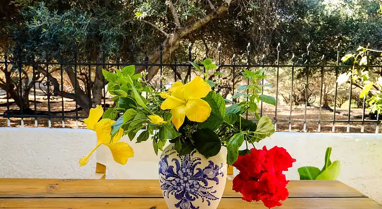 Sommerhus i Δημοτική Κοινότητα Παλαιοχώρας