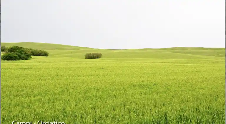 Apartamento en Lajatico