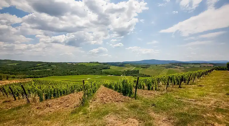 Farm house in Castellina in Chianti