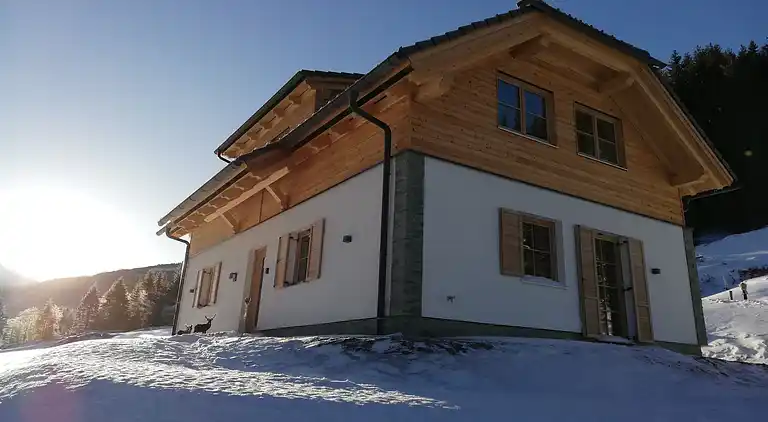 Hytte i Donnersbachwald