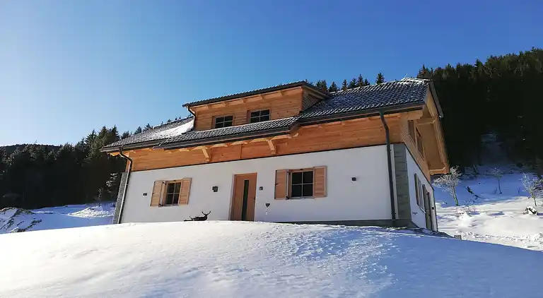 Hytte i Donnersbachwald