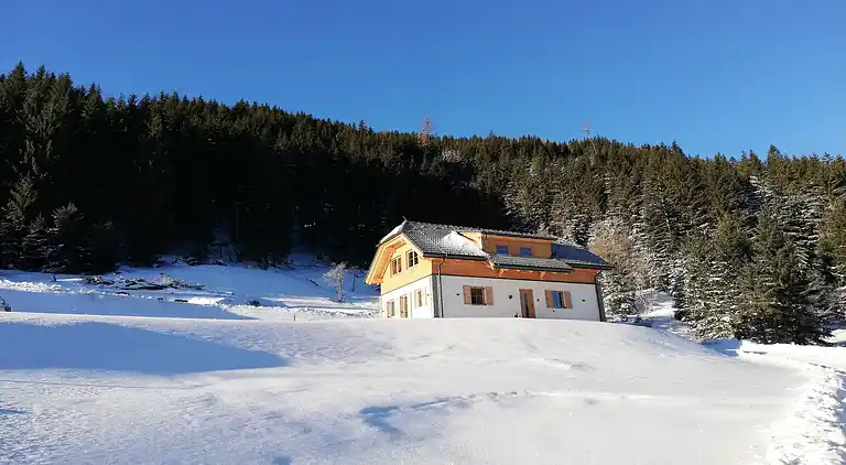 Hytte i Donnersbachwald