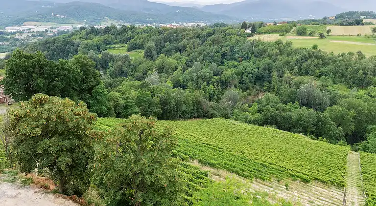 Manor house in Ovada